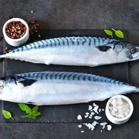 Скумбрия 600+